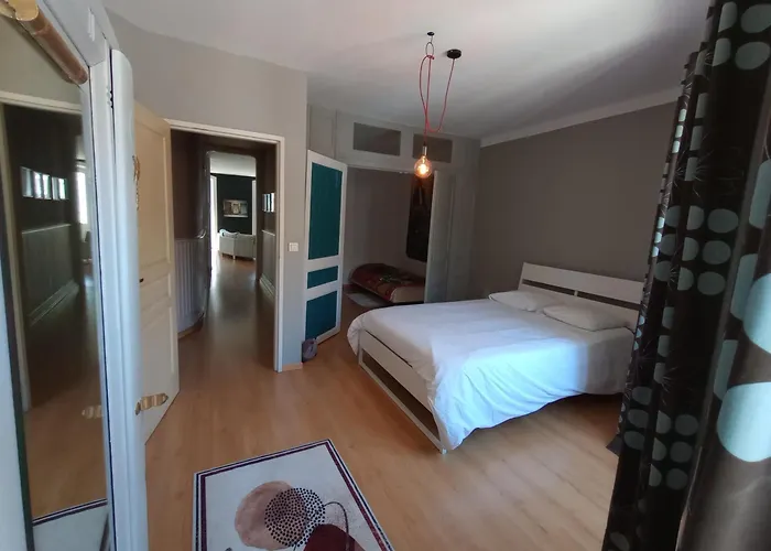 Tulle : bel appartement lumineux en centre ville