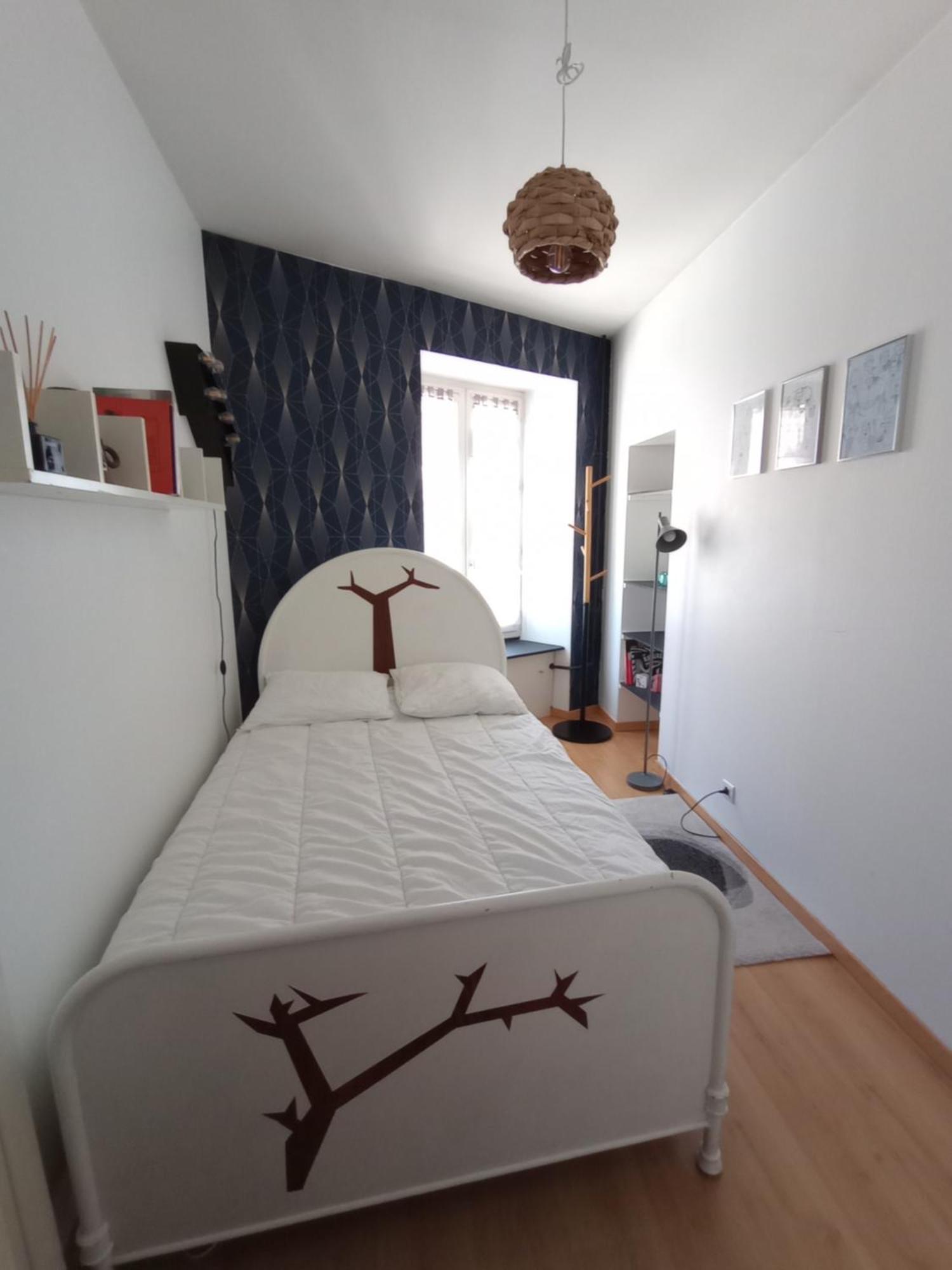 : Bel Lumineux En Centre Appartement *